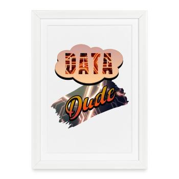 Data Dude - Framed poster (27 × 37 cm) - white - Front