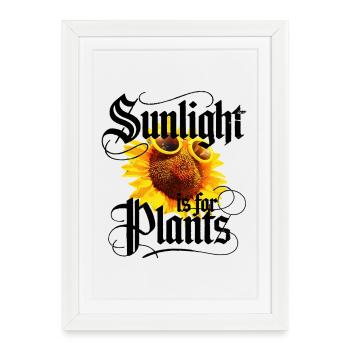 Sunlight is for Plants - Framed poster (27 × 37 cm) - white - Front
