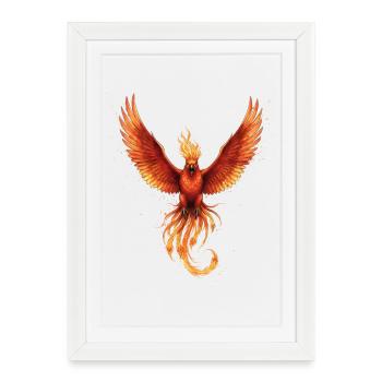 Feu Phoenix Flame Flight - Affiche encadrée (27 × 37 cm) - blanc - Devant