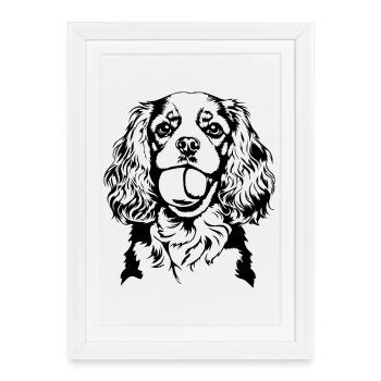 Cavalier King Charles Spaniel Ball Dogs Wilsigns - Affiche encadrée (27 × 37 cm) - blanc - Devant