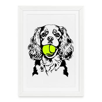 Cavalier King Charles Spaniel Ball Dogs Wilsigns - Affiche encadrée (27 × 37 cm) - blanc - Devant