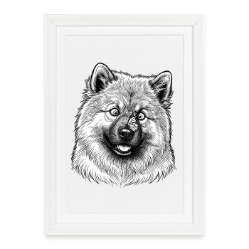 Eurasier | Papillon - Affiche encadrée (27 × 37 cm) - blanc - Devant