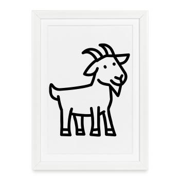 chèvre - Affiche encadrée (27 × 37 cm) - blanc - Devant