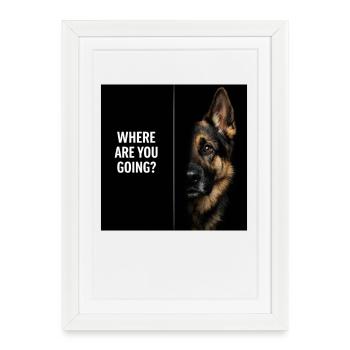 Berger allemand qui dit où vas-tu, chien - Affiche encadrée (27 × 37 cm) - blanc - Devant