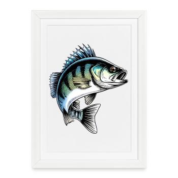 Illustration du poisson dynamique Jumping Perch - Affiche encadrée (27 × 37 cm) - blanc - Devant