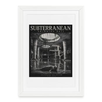Lost Places Swimming Pool Seal Vintage Animal - Framed poster (27 × 37 cm) - white - Front