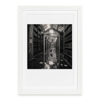 Mystère de la Bibliothèque Heron Crime Animal Vintage - Affiche encadrée (27 × 37 cm) - blanc - Devant