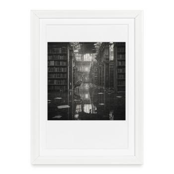 Bibliothèque Lost Place Art Noir Blanc Héron - Affiche encadrée (27 × 37 cm) - blanc - Devant