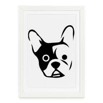 A la tête d'un bouledogue - Affiche encadrée (27 × 37 cm) - blanc - Devant