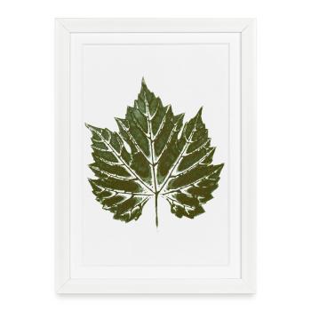 Feuille de vigne VERT - imprimé feuille - WINER & GARDEN - Affiche encadrée (27 × 37 cm) - blanc - Devant