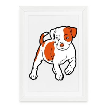 American Staffordshire Terrier - Affiche encadrée (27 × 37 cm) - blanc - Devant