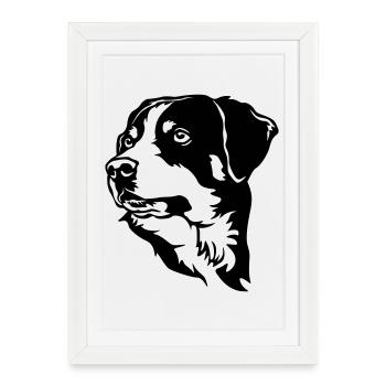 Appenzeller Sennenhund Kopf - Affiche encadrée (27 × 37 cm) - blanc - Devant