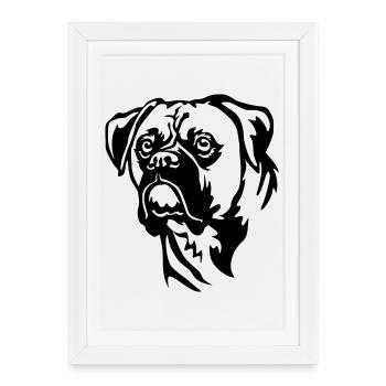 Tête de boxeur - Affiche encadrée (27 × 37 cm) - blanc - Devant