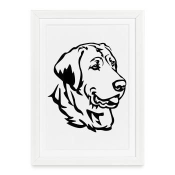 Broholmer Kopf - Affiche encadrée (27 × 37 cm) - blanc - Devant