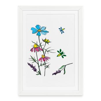 Herbes, camomille, abeilles - Affiche encadrée (27 × 37 cm) - blanc - Devant