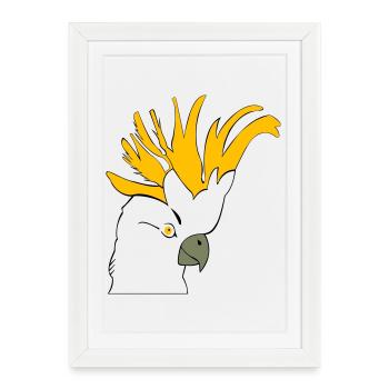 Parrot Budgie - Framed poster (27 × 37 cm) - white - Front