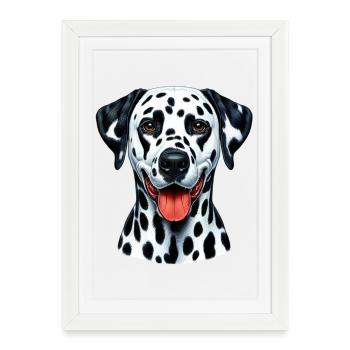 Chien dalmatien - Affiche encadrée (27 × 37 cm) - blanc - Devant