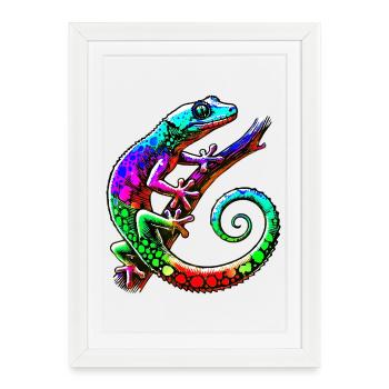 Gecko - Framed poster (27 × 37 cm) - white - Front