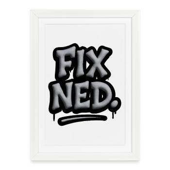 Fix Ned – Dicton dialectal viennois d’Autriche - Affiche encadrée (27 × 37 cm) - blanc - Devant