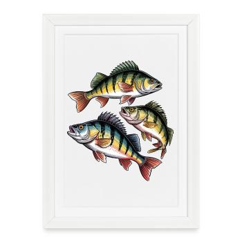Perch Motif - Framed poster (27 × 37 cm) - white - Front