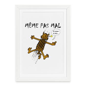Les neuf vies du chat - Affiche encadrée (27 × 37 cm) - blanc - Devant