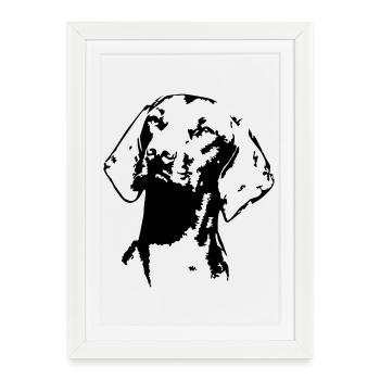 Magyar Vizsla tête - Affiche encadrée (27 × 37 cm) - blanc - Devant