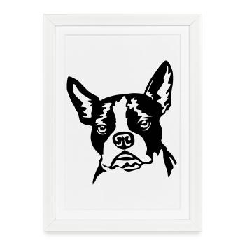 Boston terrier - Framed poster (27 × 37 cm) - white - Front