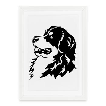 Bernese Mountain Dog head - Framed poster (27 × 37 cm) - white - Front