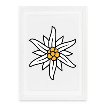 Logo Edelweiss Bergblume - Affiche encadrée (27 × 37 cm) - blanc - Devant