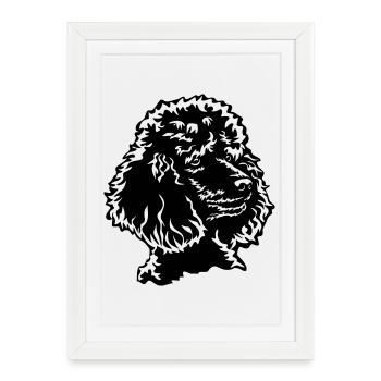 Tête de puiche - Affiche encadrée (27 × 37 cm) - blanc - Devant
