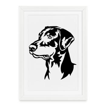 Tête de Doberman - Affiche encadrée (27 × 37 cm) - blanc - Devant