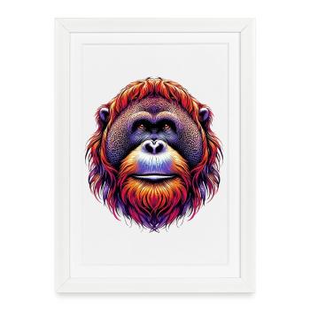 Orang-outan Orang-outan - Affiche encadrée (27 × 37 cm) - blanc - Devant