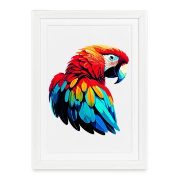 Perroquet - Affiche encadrée (27 × 37 cm) - blanc - Devant