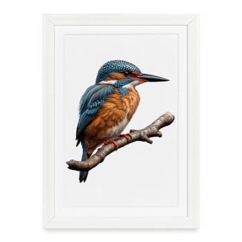 Vivid Kingfisher Nature Illustration - Framed poster (27 × 37 cm) - white - Front