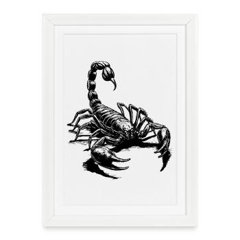 Noir Scorpion - Affiche encadrée (27 × 37 cm) - blanc - Devant