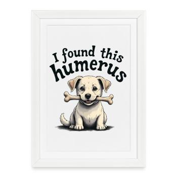 I found this humerus - Framed poster (27 × 37 cm) - white - Front