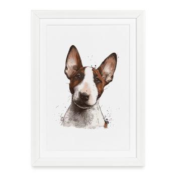 Portrait du Bull Terrier – Chien illustratif - Affiche encadrée (27 × 37 cm) - blanc - Devant