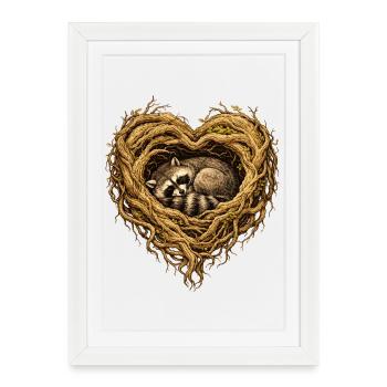 Sleeping raccoon in the root heart – forest motif - Framed poster (27 × 37 cm) - white - Front