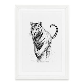 Tigre - Affiche encadrée (27 × 37 cm) - blanc - Devant