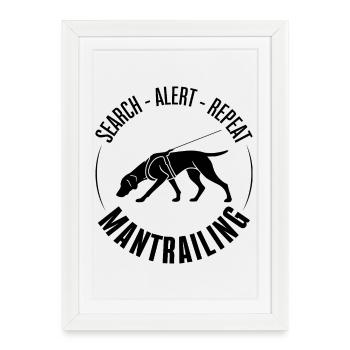 Chiens de recherche sportifs allemands à poil court - Affiche encadrée (27 × 37 cm) - blanc - Devant