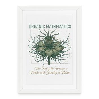 Geometry of the Nature Plant - Framed poster (27 × 37 cm) - white - Front