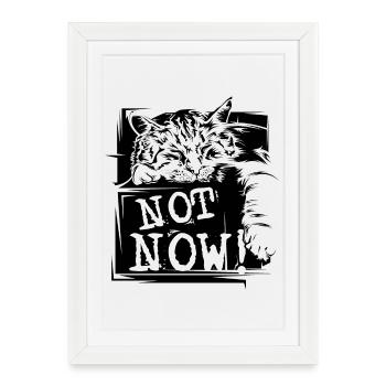 Chat Sommeil Dictons Drôles pas maintenant Animaux de compagnie - Affiche encadrée (27 × 37 cm) - blanc - Devant