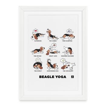 BEAGLE YOGA - Affiche encadrée (27 × 37 cm) - blanc - Devant