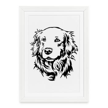 Tête de golden retriever - Affiche encadrée (27 × 37 cm) - blanc - Devant