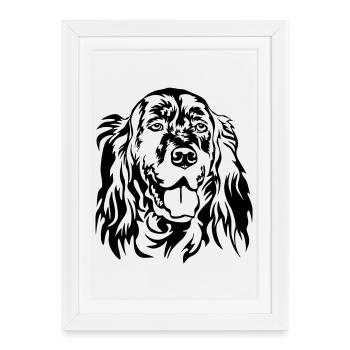 Tête de setter anglais - Affiche encadrée (27 × 37 cm) - blanc - Devant