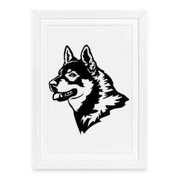 Tête de Jämthund - Affiche encadrée (27 × 37 cm) - blanc - Devant