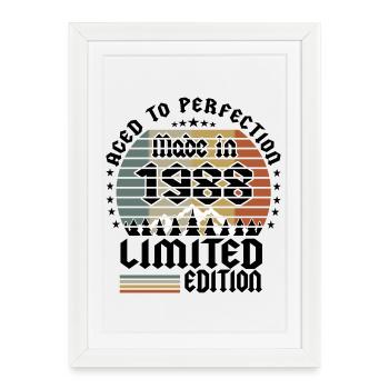1988 Limited Edition - Framed poster (27 × 37 cm) - white - Front