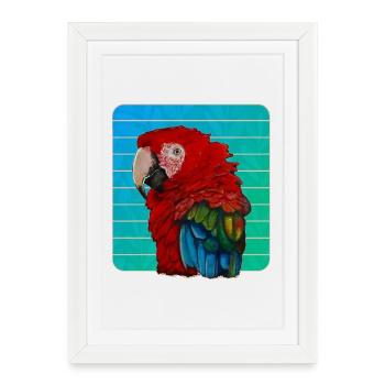 Ara rouge perroquet peinture à la Gouache - Affiche encadrée (27 × 37 cm) - blanc - Devant
