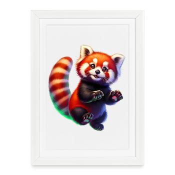 Petit panda - Affiche encadrée (27 × 37 cm) - blanc - Devant