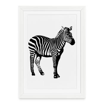 Zebra - Framed poster (27 × 37 cm) - white - Front
